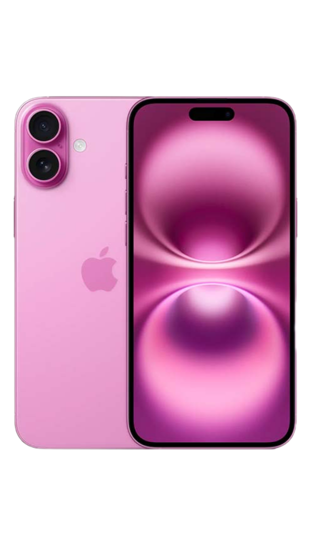 Home 2 Free Government iPhone 16